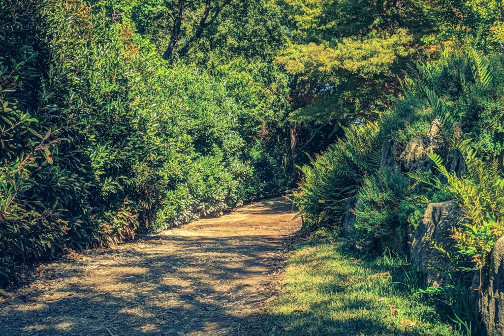 Path