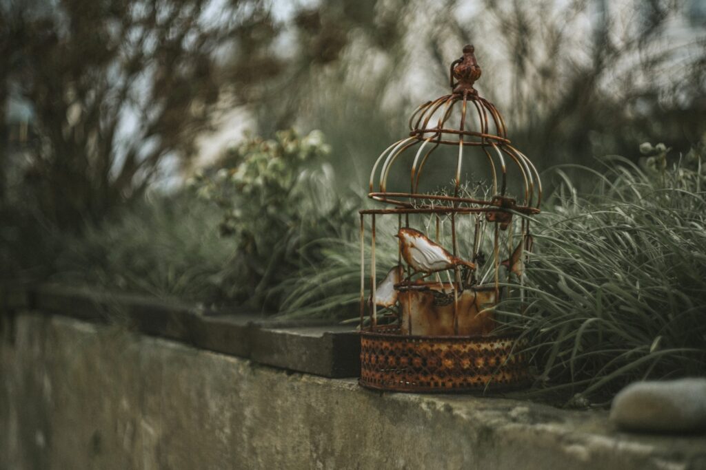 brown bird in brown metal bird cage