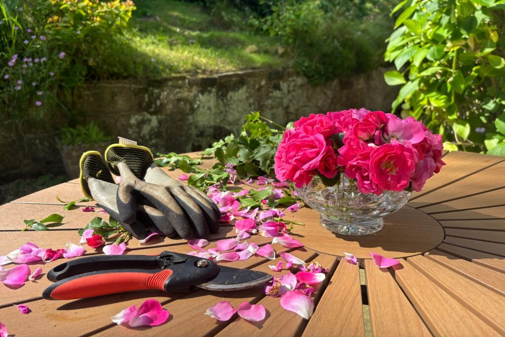 Garden Flowers